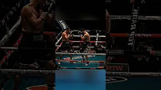 Thumbnail: New Boxing Shorts | Highlights HD #ufc #boxinghighlights #shortvideo #boxing #viralvideo #knockout