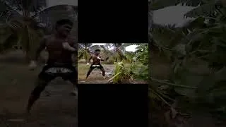 Thumbnail: BUAKAW BANCHAMEK Kick The Tree #boxer #muaythai #buakawbanchamek #mma #buakaw #sports #ufc