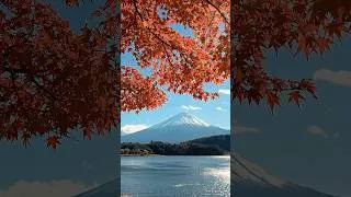 Thumbnail: Jom kita sambung story Jepun ni dari Tokyo haritu! Kali ni Explore Gunung Fuji, Fujikawaguchiko. 🗻