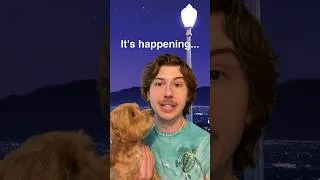 Thumbnail: La La Land ON MY CHANNEL #shorts
