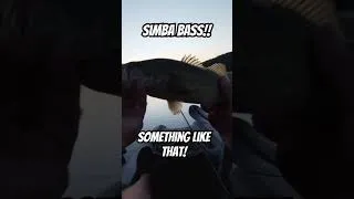 Thumbnail: This is why we fish!! #funny #fishing #motivation