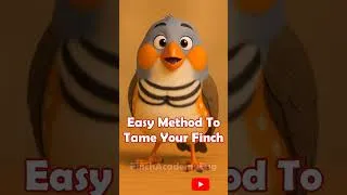 Thumbnail: Easy method to tame your finches #birds #birdsounds #breeding #finch