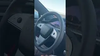 Thumbnail: found a model s performance while “driving” in the plaid