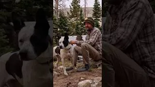 Thumbnail: What a peaceful morning with some crazy dogs!