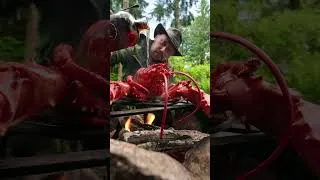 Thumbnail: This lobster got the royal treatment. 🦞🔥🧈 #lobster #asmr #firekitchen #shorts