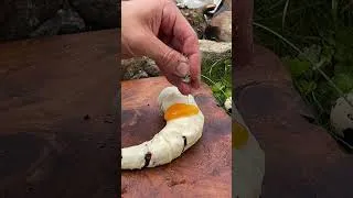 Thumbnail: Octopus in a croissant? 🐙🥐  #shorts #octopus #outdoorcooking