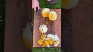 Thumbnail: Normal people use chicken eggs. I don't. 🥚❄️🔥 #ostrichegg #frozen #firekitchen #shorts