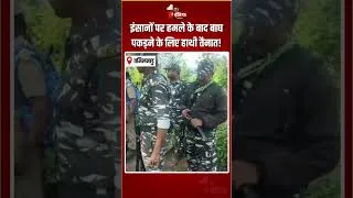 Thumbnail: Nilgiris Tiger Attack: इंसानों पर हमले के बाद बाघ पकड़ने के लिए Kumki Elephants तैनात! | Tamil Nadu