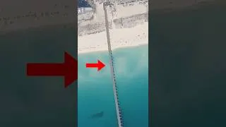 Thumbnail: I fished Florida’s BEST Fishing Pier 🎣 #fishing #fish