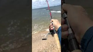 Thumbnail: I Caught a 5-Star Meal 🎣