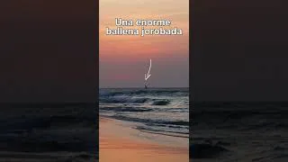 Thumbnail: Just watching the sunset in Máncora… and then THIS happened.