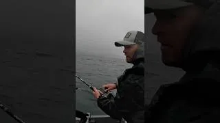 Thumbnail: King Salmon Fishing. Homer, AK. #fish #salmon #alaska #fishcamphikealaska #bigbuttcharters #shorts