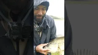 Thumbnail: Caught my PB LM Bass!!