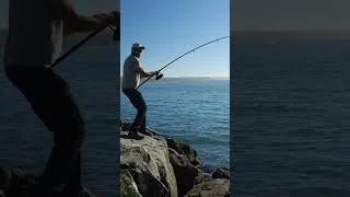 Thumbnail: Saving a Birds Life While Fishing PART 1 #fishing #crabbing #crabseason #seagull #lucky #goodvibes