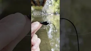 Thumbnail: Smallmouth bass love 🐭 #smallmouthbass #creekfishing #topwaterfishing #bassfishing #fishing
