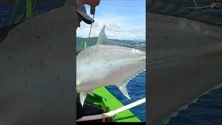 Thumbnail: #fishing Dambuhalang talakitok