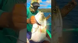 Thumbnail: Talakitok#fishing