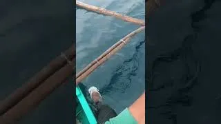 Thumbnail: Jackpot ang daming Isdang dalagang bukid