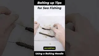 Thumbnail: How to use a baiting needle for sea fishing