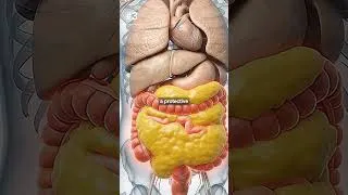 Thumbnail: Why You MUST Get Rid Of Visceral Fat!