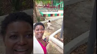 Thumbnail: Mexico made me healthier.