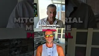 Thumbnail: 👉 GROUNDING + MELANIN: The Electrical Side of Your Mitochondria ‼️⚡️🤯