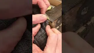Thumbnail: Hidden Furniture Problems #repair