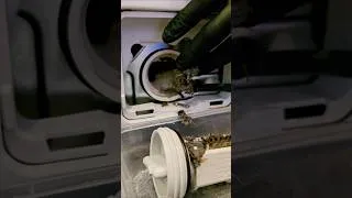 Thumbnail: Deep Clean Your Washing Machine NOW And Remove Odours!