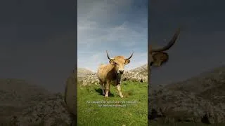 Thumbnail: Off-Season Trekking in Spain