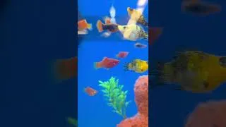 Thumbnail: Hooked on Livebearers: The Ultimate Guide to Stunning Fish Pools in Your Aquarium!