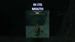 Thumbnail: Frox Fight Tips in Tears of the Kingdom