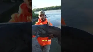 Thumbnail: Catfish was an ABSOLUTE Biggin 🐟