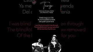 Thumbnail: "Estaba Ciega Y No Veía" | Tango | Poetic Translations of Flamenco Letras - TRANSLATIÓN #115