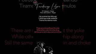 Thumbnail: "Sigue la ley del embudo" | Fandango | Poetic Translations of Flamenco Letras - TRANSLATIÓNS #114