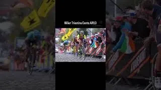 Thumbnail: I think this is a cool looking bike - not exactly light (frame fork is almost 1.8kg)
