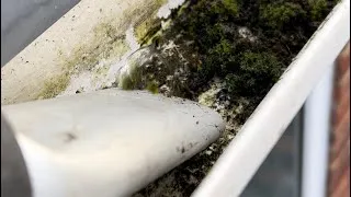 Thumbnail: Well that sucked..