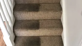 Thumbnail: Look at the STATE of these Filthy Carpets! Satisfying cleaning
