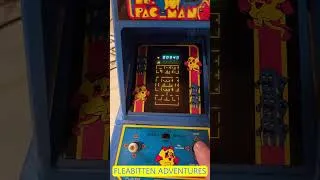 Thumbnail: Finally! Ms. Pac Man is Mine! #fleabittenadventures #retro #vintage #mspacman #arcade