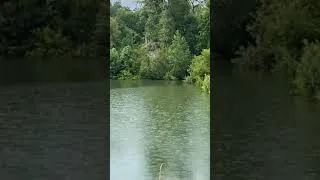 Thumbnail: 15lb BASS EATS MY WHOPPER PLOPPER!!!