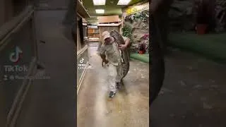 Thumbnail: Man Lifts Huge Snake!