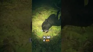 Thumbnail: Melanistic DIAMOND 💎 Jaguar! #cotwgameplay #thehunter #cotw
