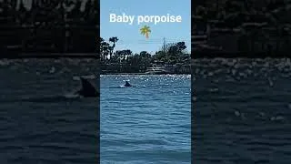 Thumbnail: FL kayak Camping Guy 🌴