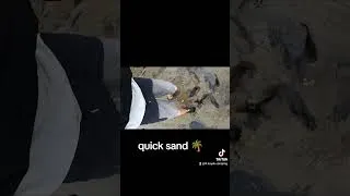 Thumbnail: quick sand solutions 🌴