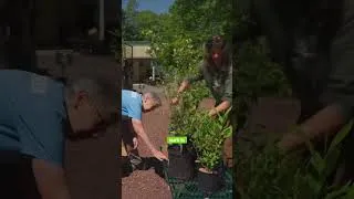 Thumbnail: This GARDEN Grows 1/3rd of PENNSYLVANIA’S NATIVE PLANTS