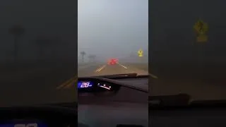 Thumbnail: Sea Fog And The Lost Driver — 04/01/2025