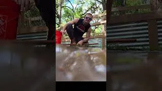 Thumbnail: Crocodile training #crocodile #animals #reptiles