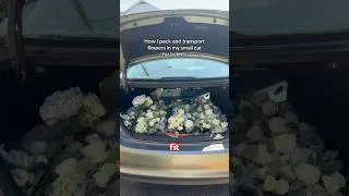 Thumbnail: How Florists Transport Flowers 🌸✨ #florist #packingflowers