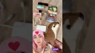 Thumbnail: What's in your ADHD travel bag??