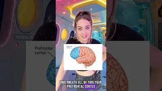 Thumbnail: ADHD Focus Problem Finally Explained