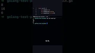 Thumbnail: Proving Go's Empty Struct Consumes ZERO Bytes #go #coding #programming
